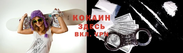 мяу мяу мука Лабытнанги