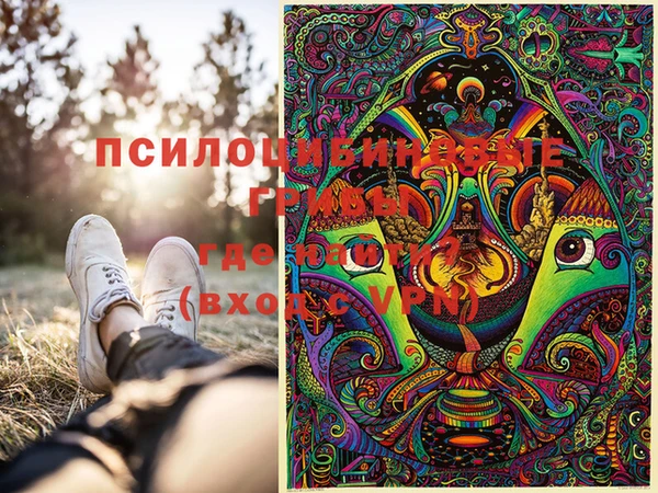 мдма Ладушкин