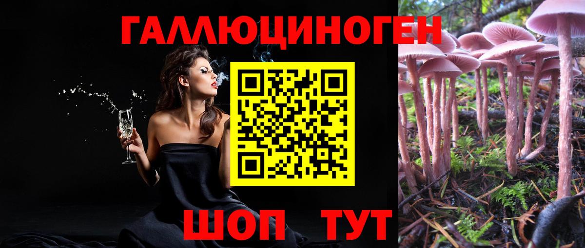 Галлюциногенные грибы GOLDEN TEACHER  Псилоцибиновые грибы мицелий  Дятьково 