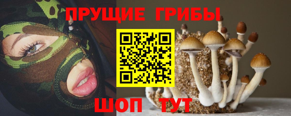 Дятьково  Псилоцибиновые грибы мухоморы  Вход с VPN  Псилоцибиновые грибы MAGIC MUSHROOMS 