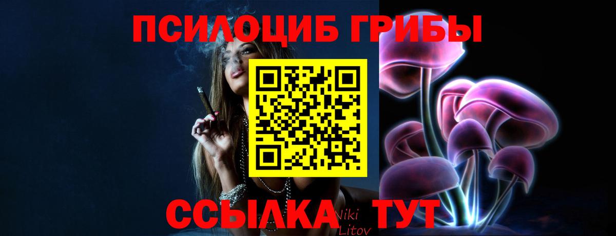 Псилоцибиновые грибы MAGIC MUSHROOMS Дятьково
